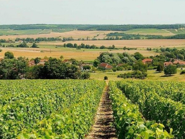 Tour in elicottero in champagne