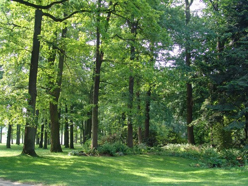 Bosco di Vincennes: dove si trova, arrivare, orari e info utili