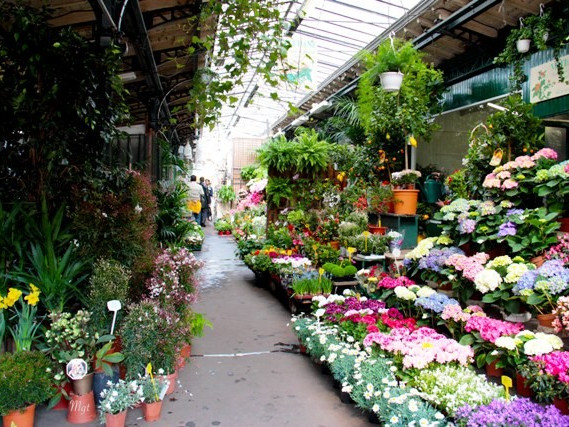 Mercatini di Parigi: Mercato dei fiori e degli uccelli di Place Louis Lépine