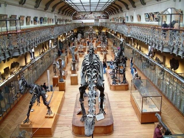 Museo Nazionale di Storia naturale - Informazioni, biglietti, orari