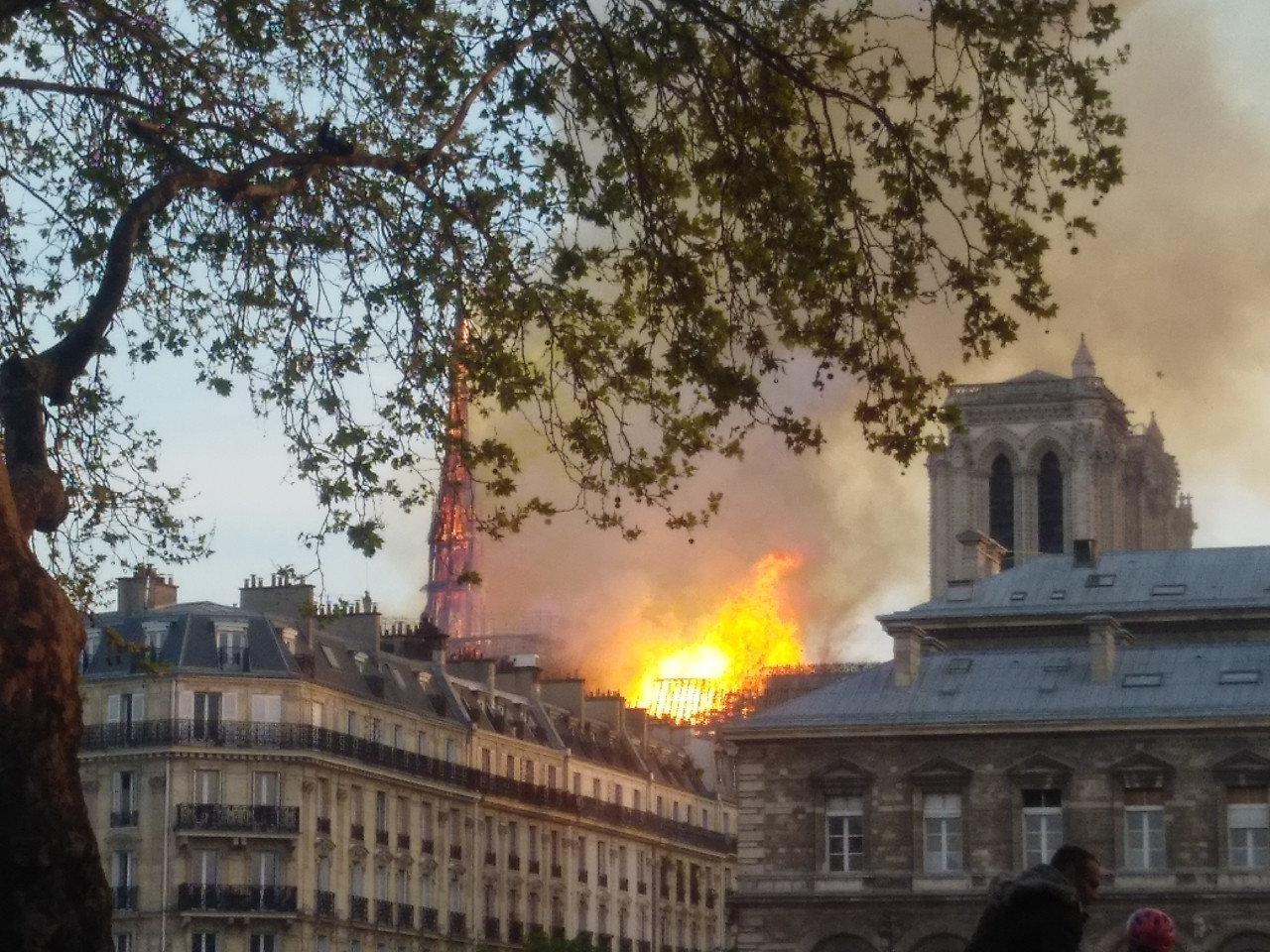 Incendio Notre Dame: cosa è successo, cosa sapere se vai a Parigi