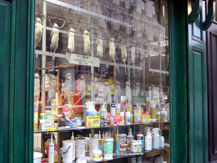 Maison Aurouze: lo storico negozio dei &ldquo;topi appesi&rdquo; a Parigi